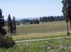 ViewFromProperty5